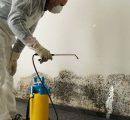 9 Signs of Mold At Home And Why You Should Not Ignore Them