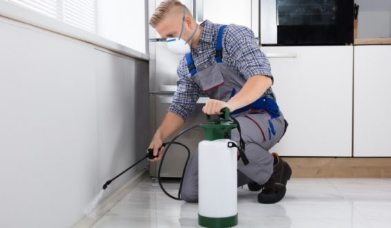How To Choose The Best Commercial Pest Control Company