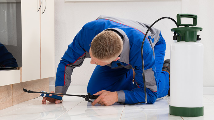 How to choose the right pest control services for your property?