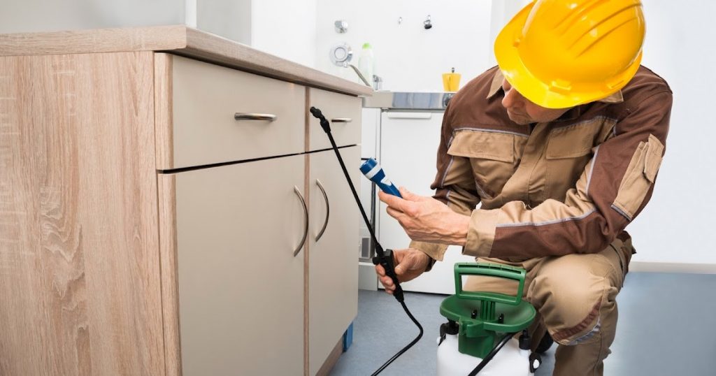 How to choose the best Pre Construction Termite Control Company