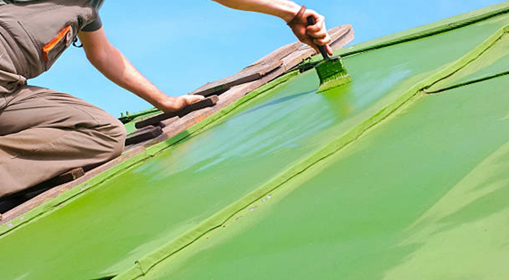 How to Choose The Right Roof Painting In West Auckland? 6 Things to Consider