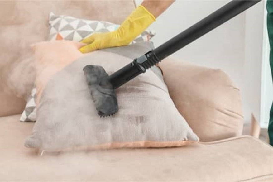 Bed Bug Heat Treatment: A Powerful Solution for Effective Pest Control