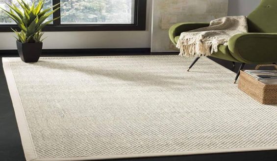 Why Are Area Rugs Essential for Transforming Your Space?