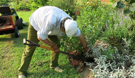 Is a Gardener a Tradie?
