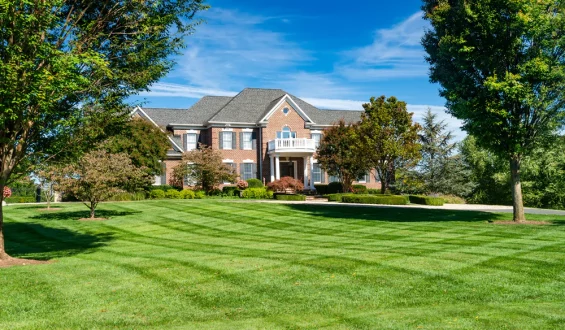 An In-Depth Look Into Oro Valley Homes & Market: Trends and Opportunities