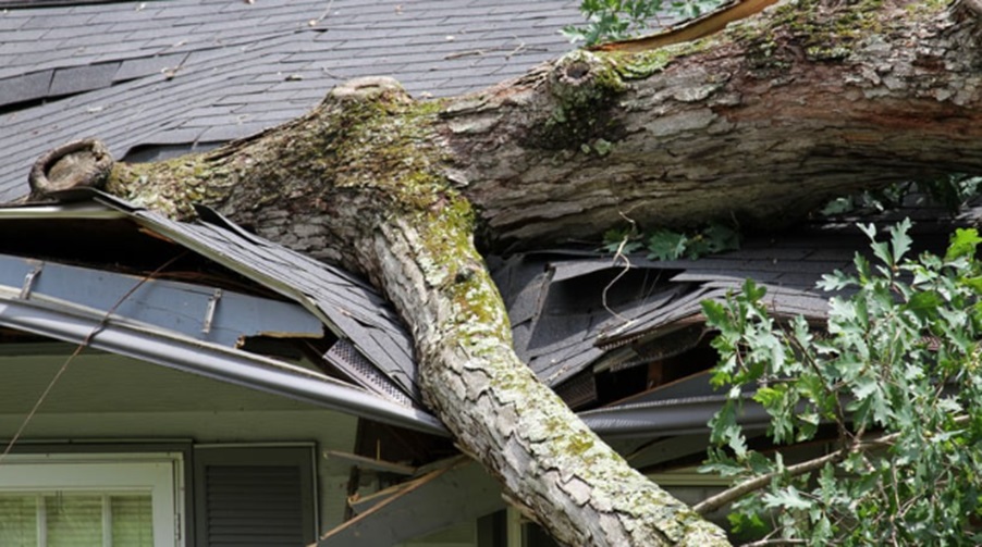 The Role of Technology in Storm Damage Assessment